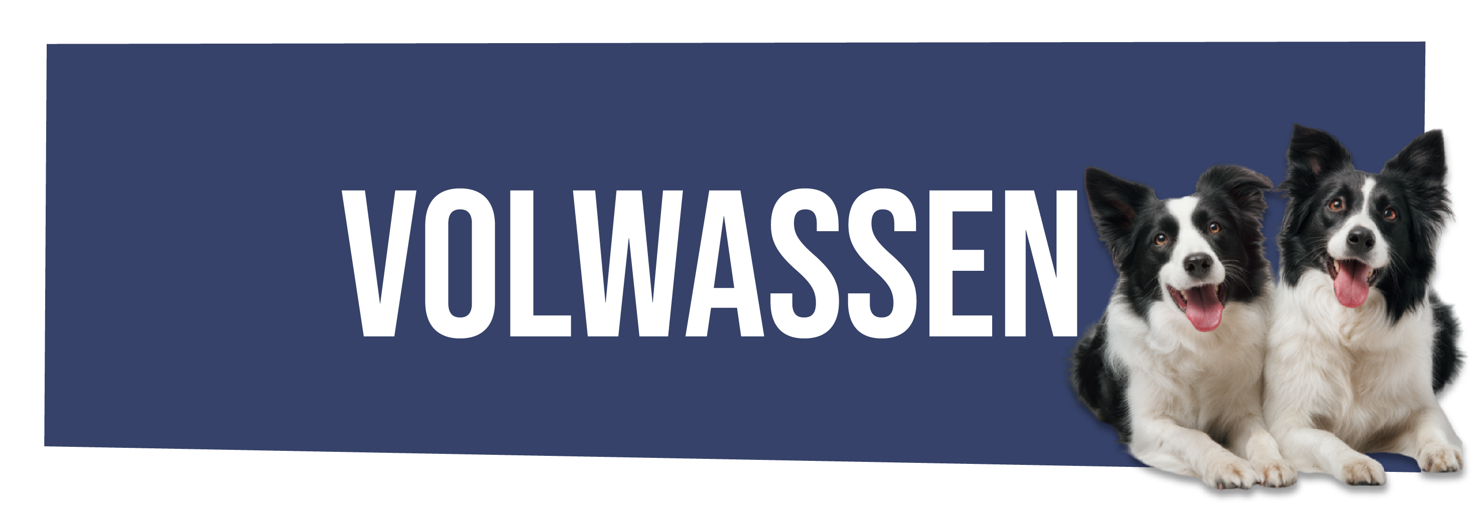 Volwassen hondenvoer